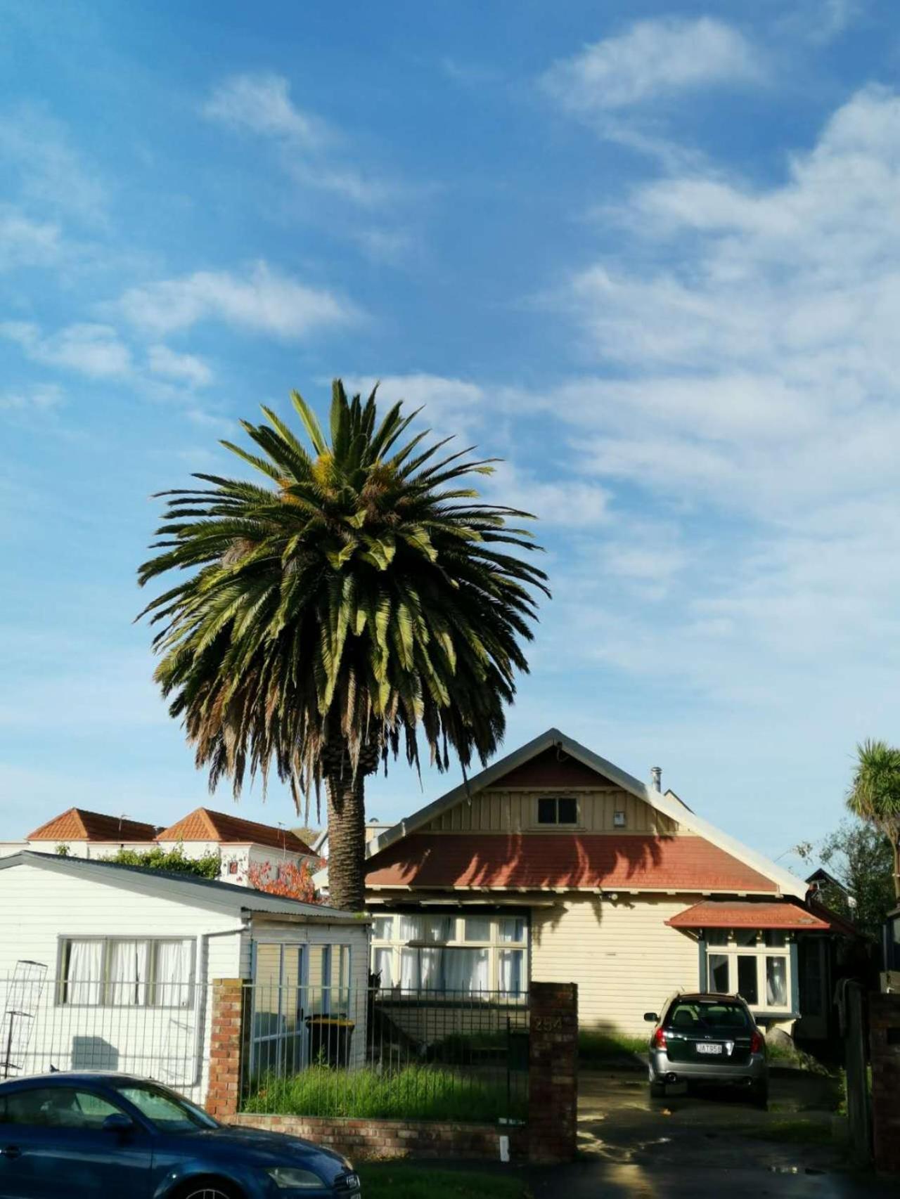 Christchurch Cbd Backpacker2 Exterior foto